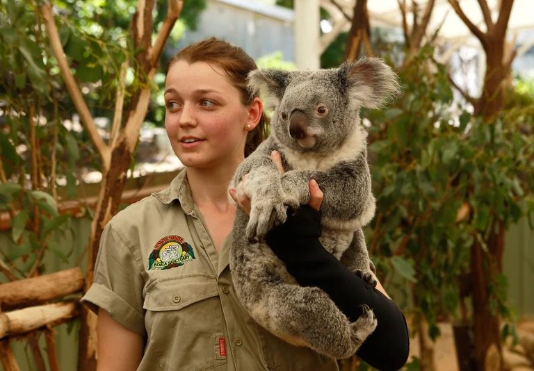 lone-pine-koala-sanctuary-australia.jpg